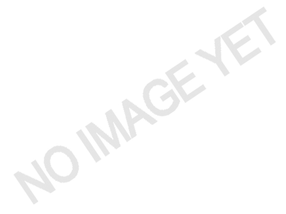 Goodyear schlauch 15x6.00-6 90°x90° TR67 [302-246-400]
